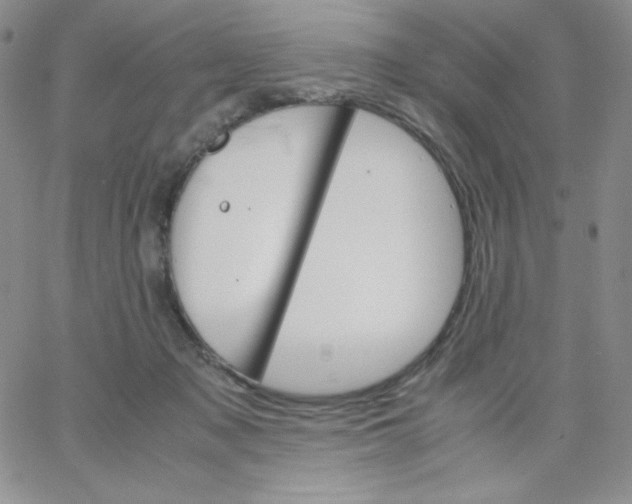 X0000062900317200602031838