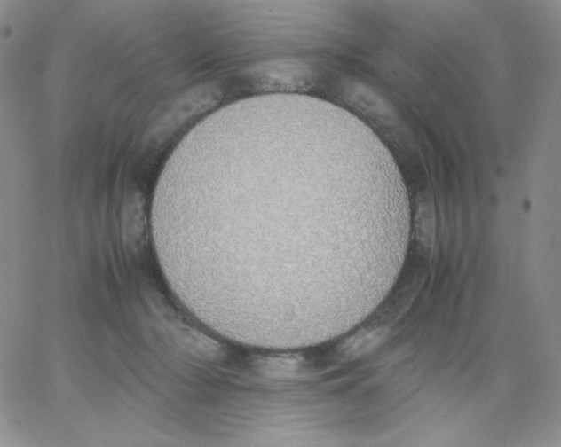 X0000062900318200602031838