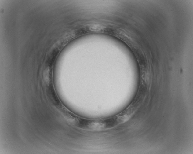 X0000062900319200602031838