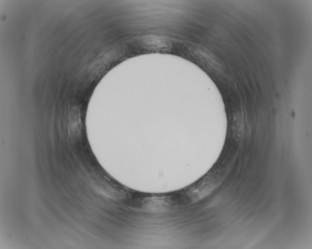 X0000062900320200602031838