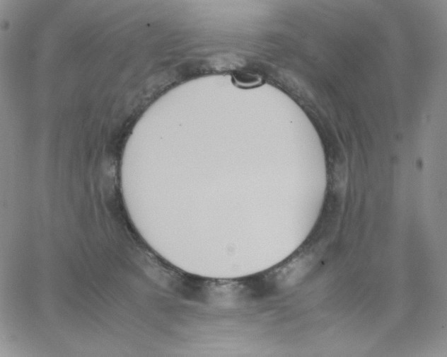 X0000062900321200602031838