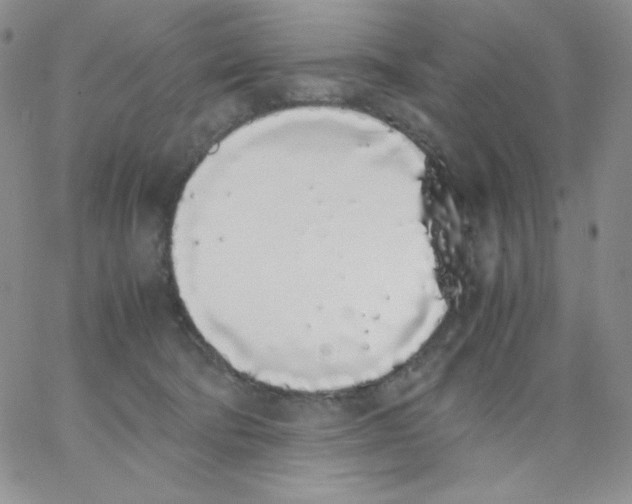 X0000062900322200602031838