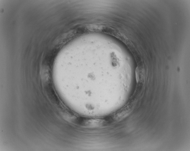 X0000062900323200602031838