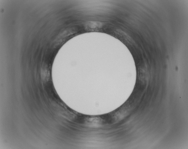 X0000062900324200602031838