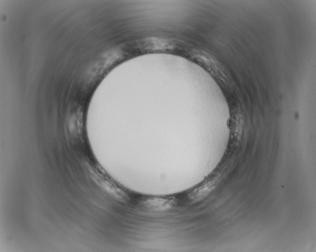 X0000062900326200602031838