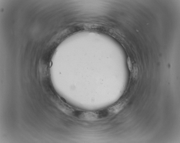 X0000062900327200602031838