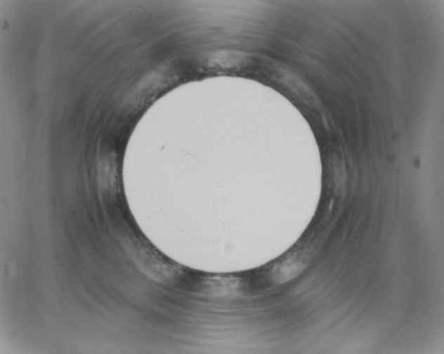 X0000062900328200602031838