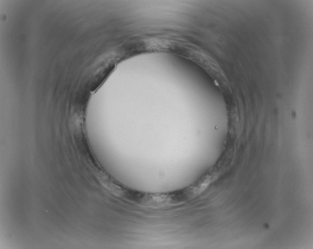 X0000062900329200602031838