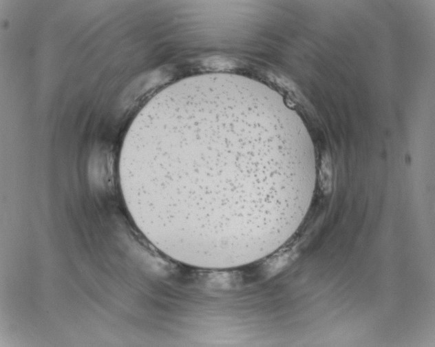 X0000062900330200602031838