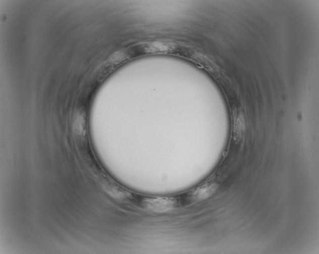 X0000062900331200602031838