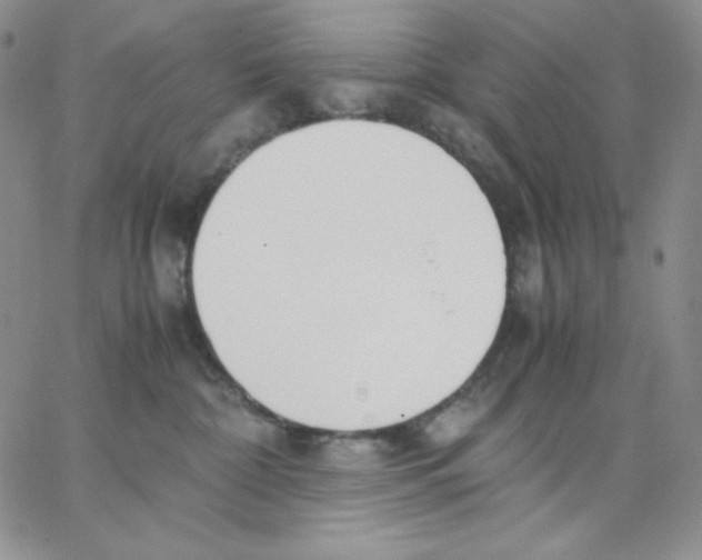 X0000062900332200602031838