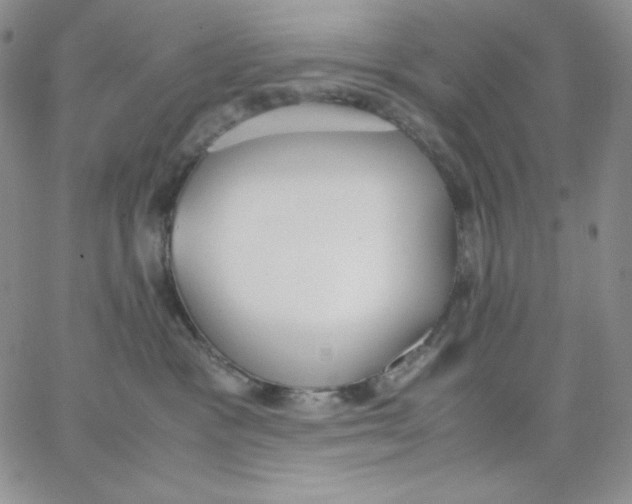 X0000062900333200602031838