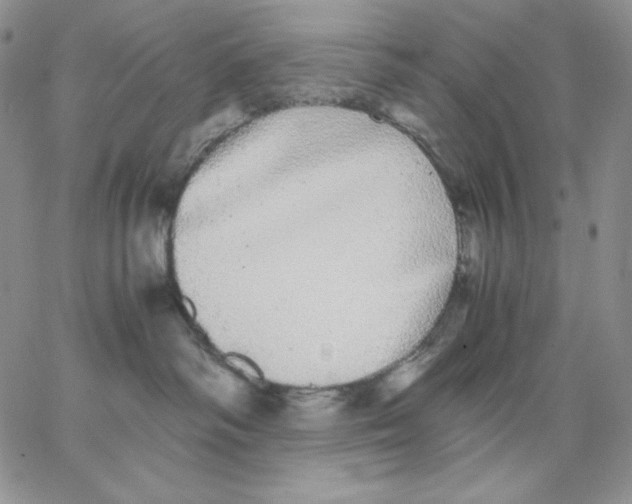 X0000062900334200602031838