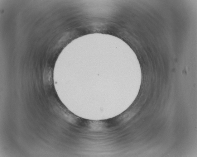 X0000062900336200602031838