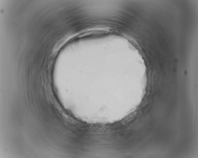 X0000062900337200602031837