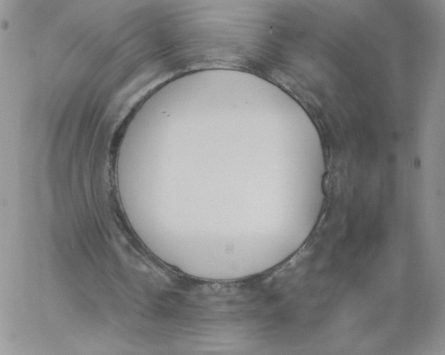 X0000062900338200602031837