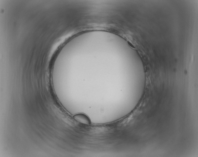 X0000062900342200602031837