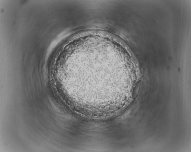 X0000062900343200602031837