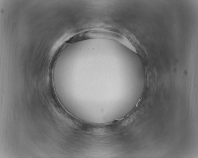 X0000062900344200602031837