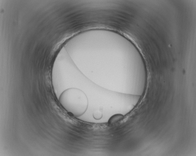 X0000062900345200602031837