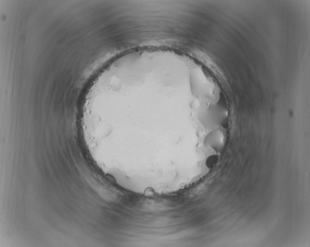 X0000062900346200602031837