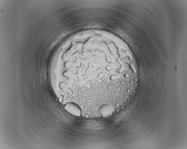 X0000062900347200602031838