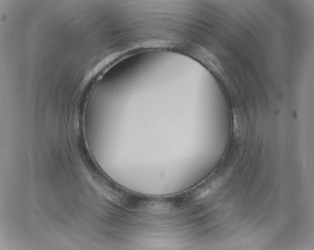 X0000062900348200602031838