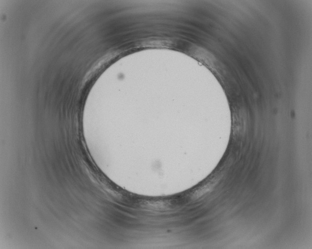 X0000062900349200602031838