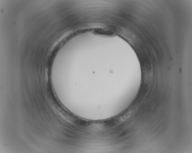 X0000062900350200602031838