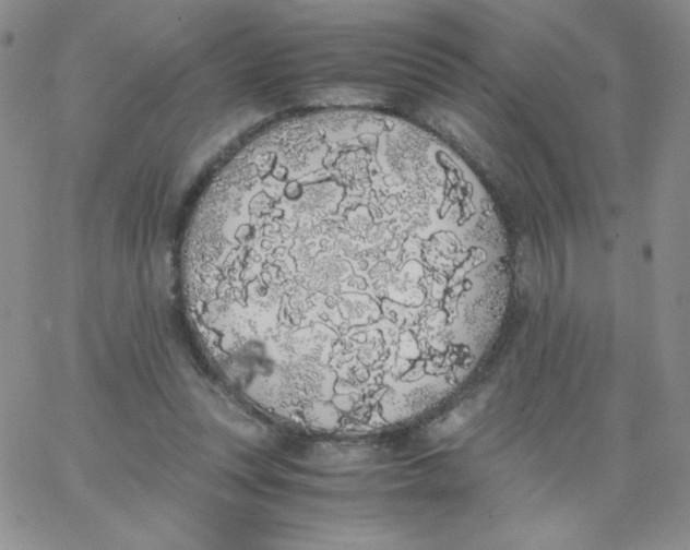 X0000062900351200602031838