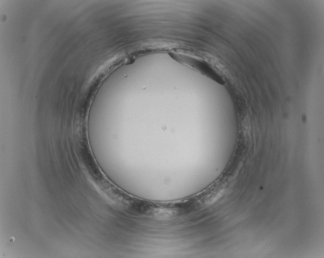 X0000062900352200602031838