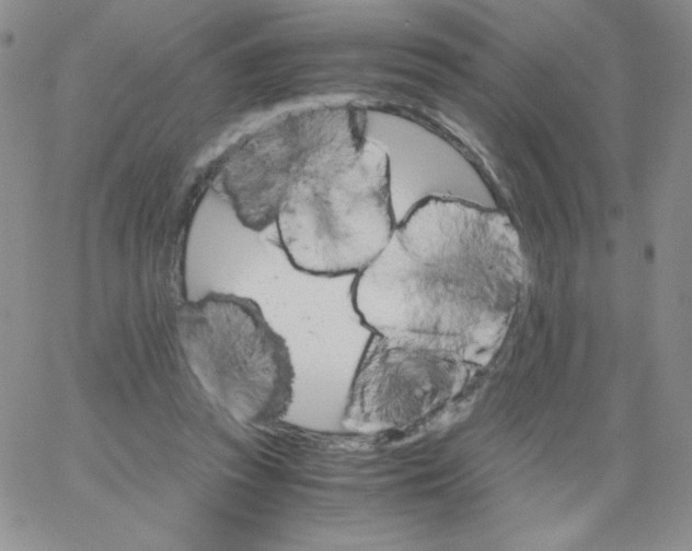 X0000062900353200602031838