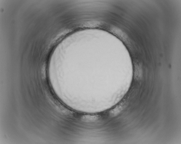 X0000062900354200602031838