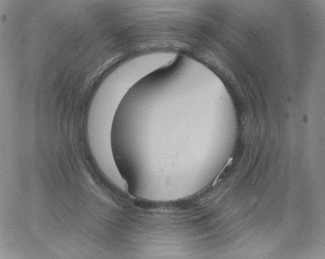 X0000062900356200602031838