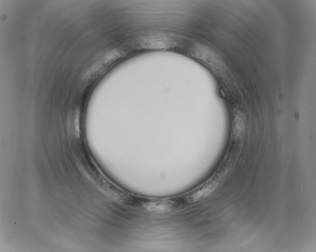 X0000062900358200602031838