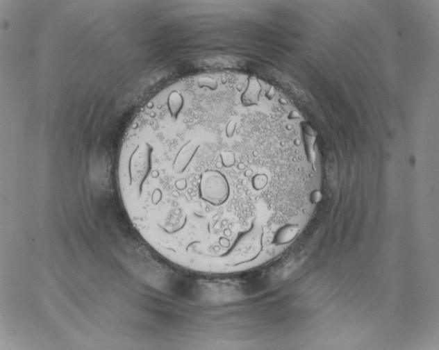 X0000062900359200602031838