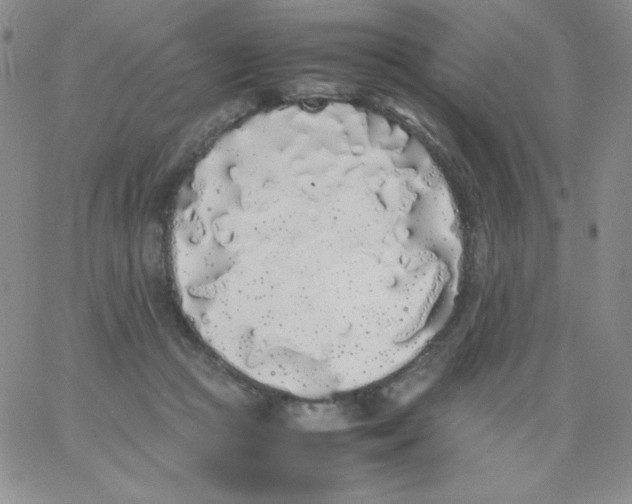 X0000062900361200602031838