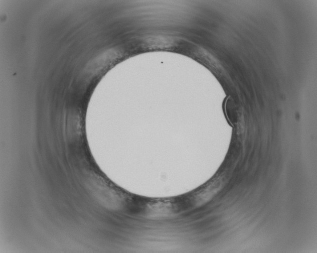 X0000062900362200602031838