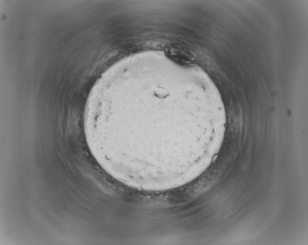 X0000062900363200602031838