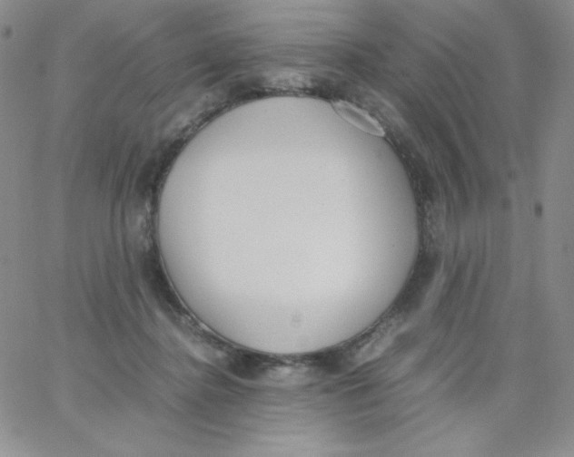 X0000062900364200602031838