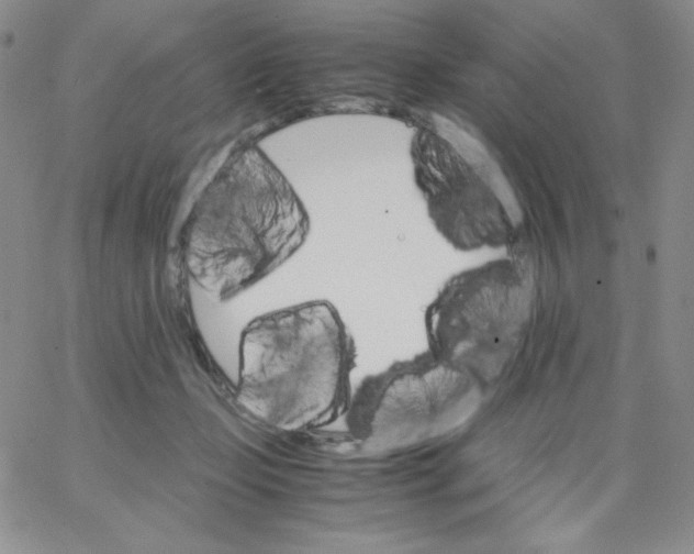 X0000062900365200602031838