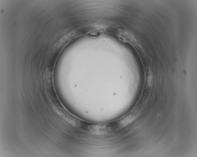 X0000062900366200602031838