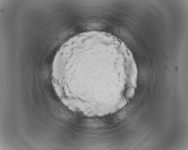 X0000062900367200602031838