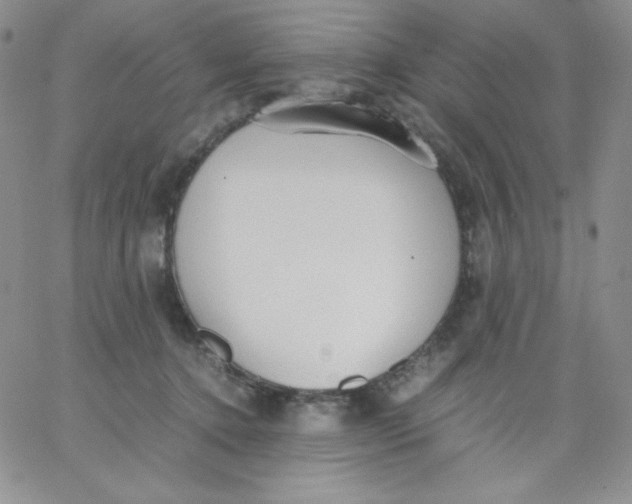 X0000062900368200602031838