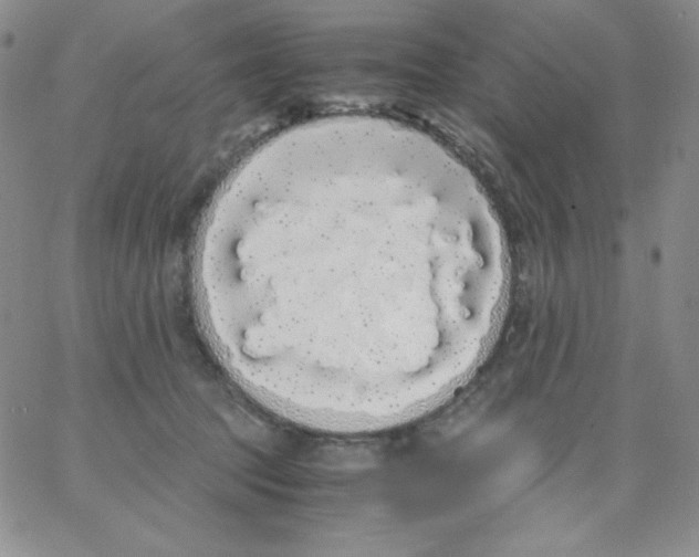 X0000062900369200602031838