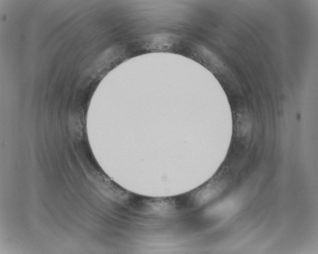 X0000062900370200602031838