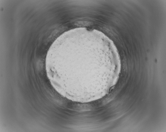 X0000062900371200602031838