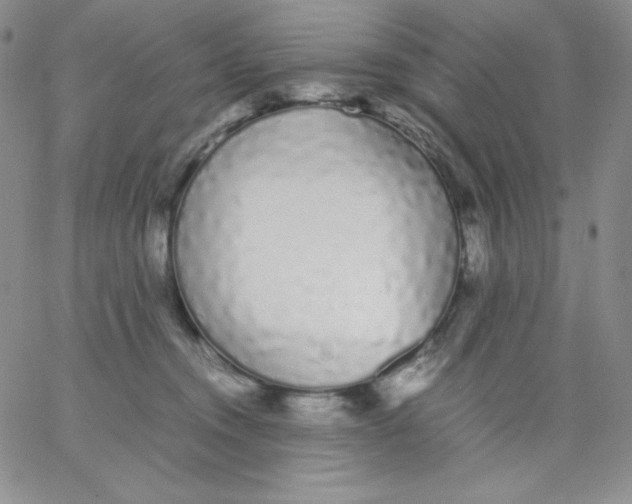 X0000062900372200602031838