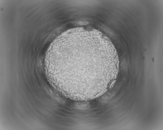 X0000062900373200602031838