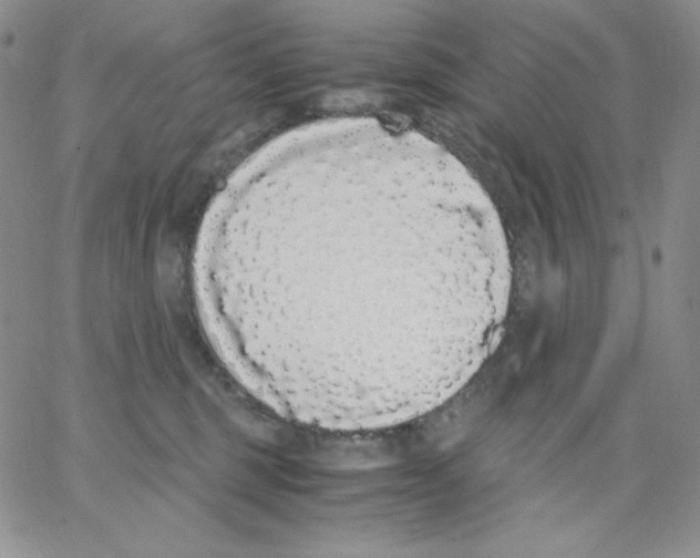 X0000062900375200602031838